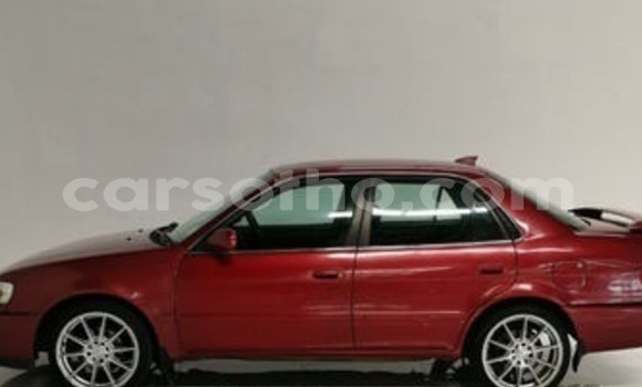 اشتري مستعمل Toyota Corolla Red سيارة في Maseru في Maseru اشتري مستعمل Toyota Corolla Red سيارة في Maseru في Maseru