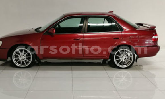 اشتري مستعمل Toyota Corolla Red سيارة في Maseru في Maseru اشتري مستعمل Toyota Corolla Red سيارة في Maseru في Maseru