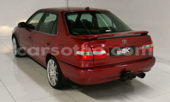اشتري مستعمل Toyota Corolla Red سيارة في Maseru في Maseru اشتري مستعمل Toyota Corolla Red سيارة في Maseru في Maseru