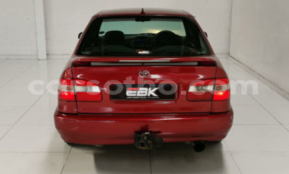 اشتري مستعمل Toyota Corolla Red سيارة في Maseru في Maseru اشتري مستعمل Toyota Corolla Red سيارة في Maseru في Maseru