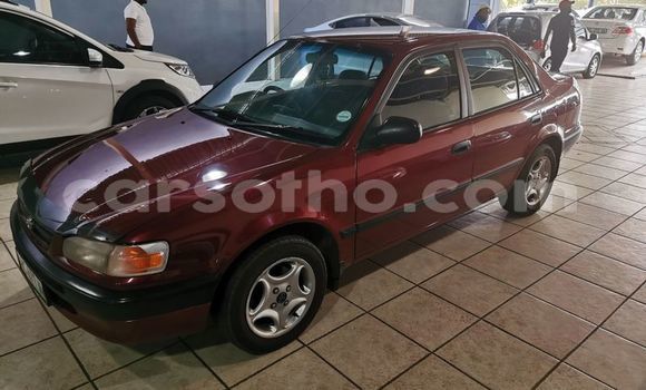 Buy Used Toyota Corolla Red Car in Mafeteng in Mafeteng Buy Used Toyota Corolla Red Car in Mafeteng in Mafeteng