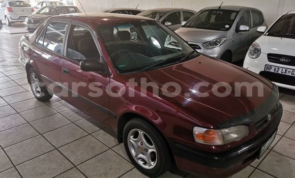 Buy Used Toyota Corolla Red Car in Mafeteng in Mafeteng Buy Used Toyota Corolla Red Car in Mafeteng in Mafeteng