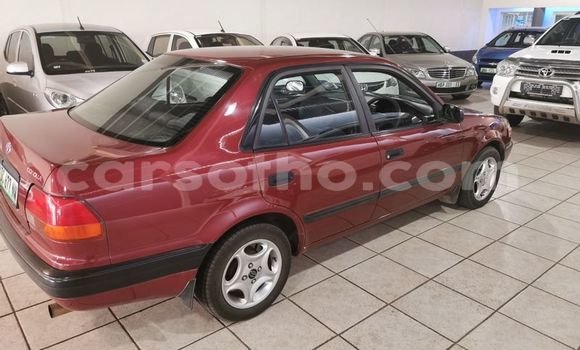 Buy Used Toyota Corolla Red Car in Mafeteng in Mafeteng Buy Used Toyota Corolla Red Car in Mafeteng in Mafeteng