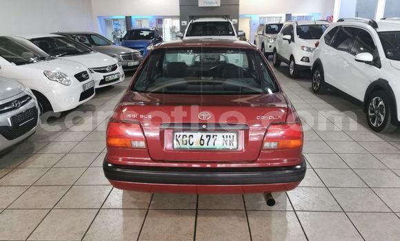 Buy Used Toyota Corolla Red Car in Mafeteng in Mafeteng Buy Used Toyota Corolla Red Car in Mafeteng in Mafeteng