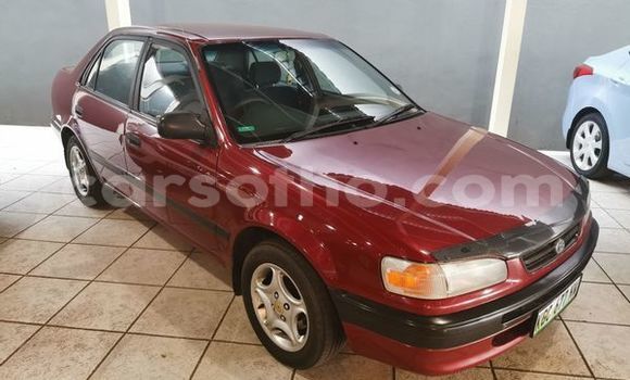 Buy Used Toyota Corolla Red Car in Mafeteng in Mafeteng Buy Used Toyota Corolla Red Car in Mafeteng in Mafeteng