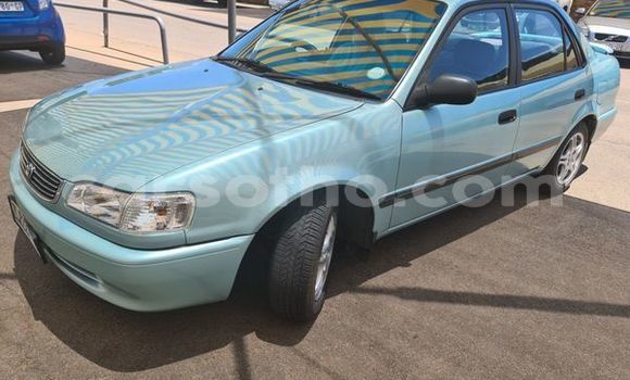 اشتري مستعمل Toyota Corolla Blue سيارة في Maputsoa في Leribe اشتري مستعمل Toyota Corolla Blue سيارة في Maputsoa في Leribe