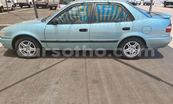 اشتري مستعمل Toyota Corolla Blue سيارة في Maputsoa في Leribe اشتري مستعمل Toyota Corolla Blue سيارة في Maputsoa في Leribe