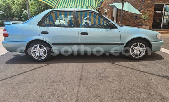 اشتري مستعمل Toyota Corolla Blue سيارة في Maputsoa في Leribe اشتري مستعمل Toyota Corolla Blue سيارة في Maputsoa في Leribe
