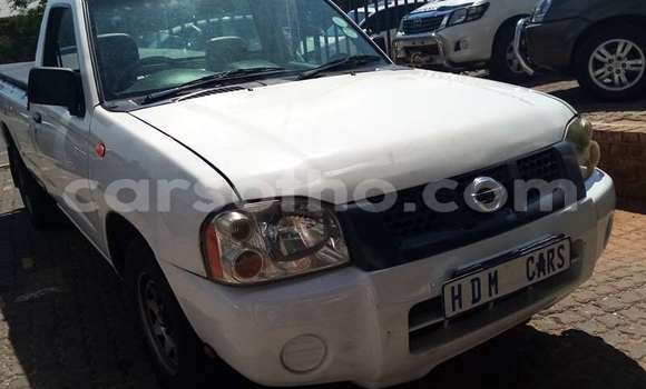 Buy Used Nissan NP 300 Green Car in Mohale's Hoek in Mohale's Hoek Buy Used Nissan NP 300 Green Car in Mohale's Hoek in Mohale's Hoek