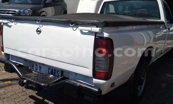 Sayi Na hannu Nissan NP 300 Green Mota in Mohale's Hoek a Mohale's Hoek Sayi Na hannu Nissan NP 300 Green Mota in Mohale's Hoek a Mohale's Hoek