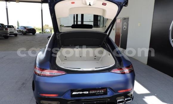 اشتري مستعمل Mercedes-Benz AMG GT Blue سيارة في Maseru في Maseru اشتري مستعمل Mercedes-Benz AMG GT Blue سيارة في Maseru في Maseru