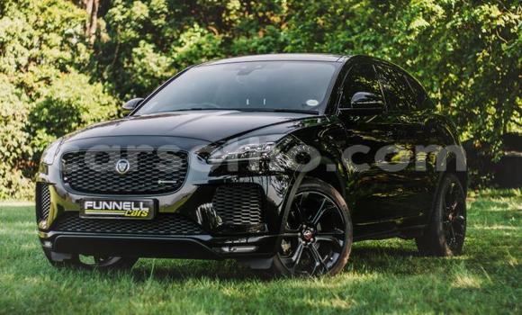 اشتري مستعمل Jaguar E-Pace Black سيارة في Maseru في Maseru اشتري مستعمل Jaguar E-Pace Black سيارة في Maseru في Maseru