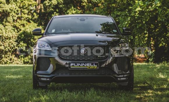 اشتري مستعمل Jaguar E-Pace Black سيارة في Maseru في Maseru اشتري مستعمل Jaguar E-Pace Black سيارة في Maseru في Maseru