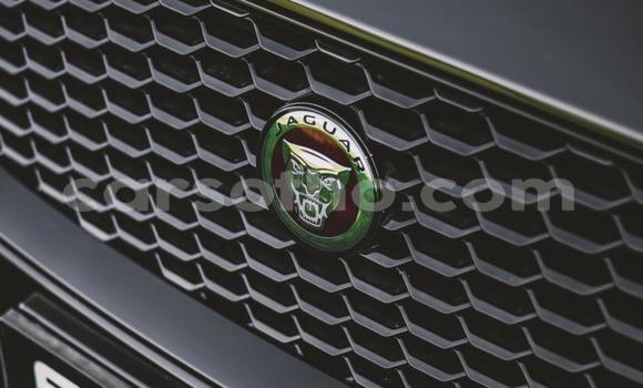 اشتري مستعمل Jaguar E-Pace Black سيارة في Maseru في Maseru اشتري مستعمل Jaguar E-Pace Black سيارة في Maseru في Maseru