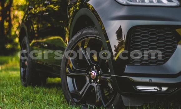اشتري مستعمل Jaguar E-Pace Black سيارة في Maseru في Maseru اشتري مستعمل Jaguar E-Pace Black سيارة في Maseru في Maseru