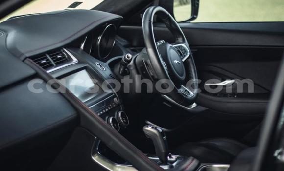 اشتري مستعمل Jaguar E-Pace Black سيارة في Maseru في Maseru اشتري مستعمل Jaguar E-Pace Black سيارة في Maseru في Maseru