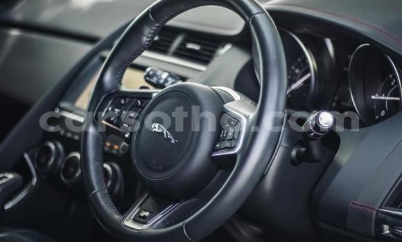 اشتري مستعمل Jaguar E-Pace Black سيارة في Maseru في Maseru اشتري مستعمل Jaguar E-Pace Black سيارة في Maseru في Maseru