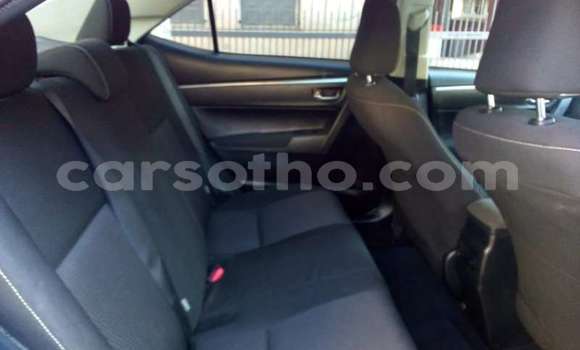 Acheter Occasion Voiture Toyota Corolla Autre à Maseru, Maseru Acheter Occasion Voiture Toyota Corolla Autre à Maseru, Maseru