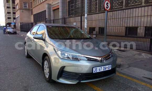 Acheter Occasion Voiture Toyota Corolla Autre à Maseru, Maseru Acheter Occasion Voiture Toyota Corolla Autre à Maseru, Maseru