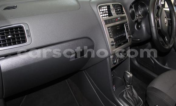 Buy Used Volkswagen Polo White Car in Maseru in Maseru Buy Used Volkswagen Polo White Car in Maseru in Maseru