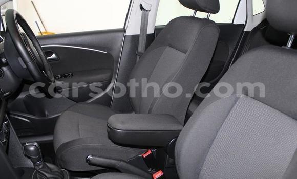Buy Used Volkswagen Polo White Car in Maseru in Maseru Buy Used Volkswagen Polo White Car in Maseru in Maseru