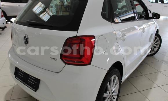 Buy Used Volkswagen Polo White Car in Maseru in Maseru Buy Used Volkswagen Polo White Car in Maseru in Maseru