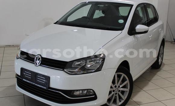Buy Used Volkswagen Polo White Car in Maseru in Maseru Buy Used Volkswagen Polo White Car in Maseru in Maseru