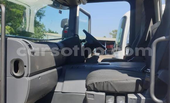 اشتري مستعمل Isuzu FTR 850 White شاحنة في Maseru في Maseru اشتري مستعمل Isuzu FTR 850 White شاحنة في Maseru في Maseru