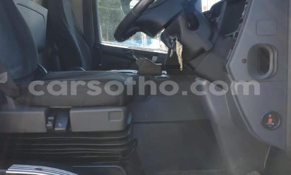 اشتري مستعمل Isuzu FTR 850 White شاحنة في Maseru في Maseru اشتري مستعمل Isuzu FTR 850 White شاحنة في Maseru في Maseru