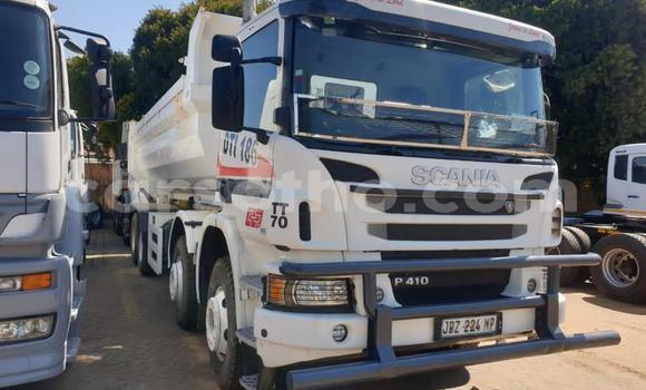 اشتري مستعمل Isuzu FTR 850 White شاحنة في Maseru في Maseru اشتري مستعمل Isuzu FTR 850 White شاحنة في Maseru في Maseru