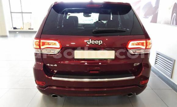 Buy Used Jeep Grand Cherokee Green Car in Maputsoa in Leribe Buy Used Jeep Grand Cherokee Green Car in Maputsoa in Leribe