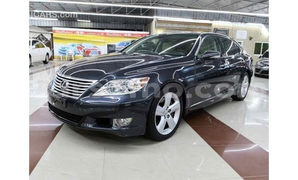 Acheter Import Voiture Lexus LS Autre à Import - Dubai, Maseru Acheter Import Voiture Lexus LS Autre à Import - Dubai, Maseru