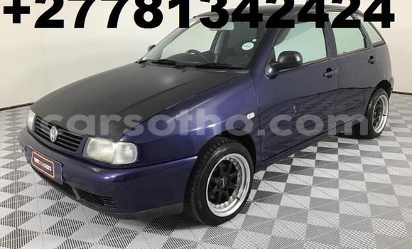 اشتري مستعمل Volkswagen Polo Blue سيارة في Maseru في Maseru اشتري مستعمل Volkswagen Polo Blue سيارة في Maseru في Maseru