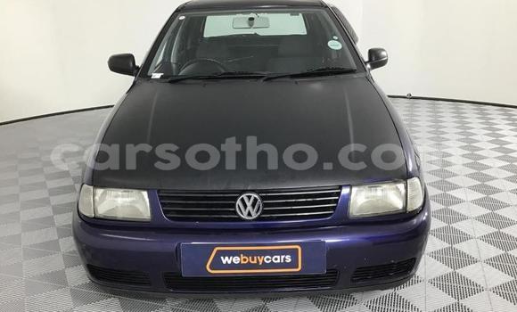 اشتري مستعمل Volkswagen Polo Blue سيارة في Maseru في Maseru اشتري مستعمل Volkswagen Polo Blue سيارة في Maseru في Maseru