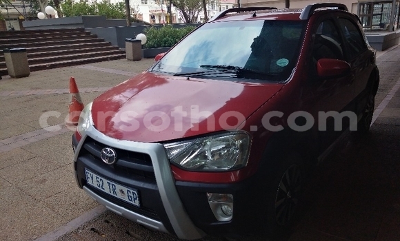 Acheter Occasion Voiture Toyota Etios Rouge à Maseru, Maseru Acheter Occasion Voiture Toyota Etios Rouge à Maseru, Maseru