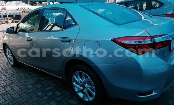 Acheter Occasion Voiture Toyota Corolla Gris à Maseru, Maseru Acheter Occasion Voiture Toyota Corolla Gris à Maseru, Maseru