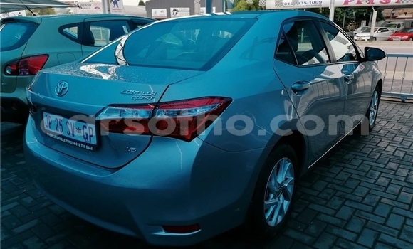 Acheter Occasion Voiture Toyota Corolla Gris à Maseru, Maseru Acheter Occasion Voiture Toyota Corolla Gris à Maseru, Maseru