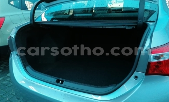 Acheter Occasion Voiture Toyota Corolla Gris à Maseru, Maseru Acheter Occasion Voiture Toyota Corolla Gris à Maseru, Maseru