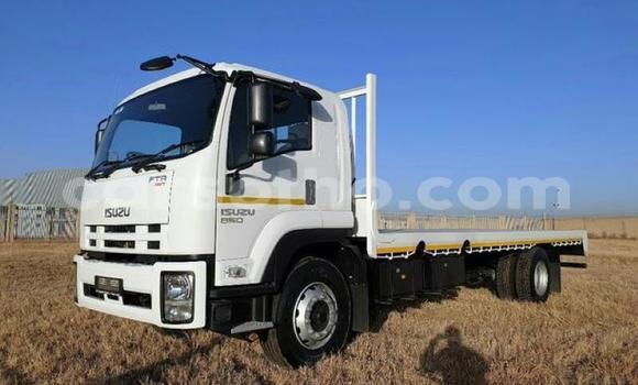 اشتري مستعمل Isuzu KB White سيارة في Maputsoe في Leribe اشتري مستعمل Isuzu KB White سيارة في Maputsoe في Leribe