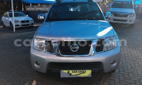اشتري مستعمل Nissan Navara Silver سيارة في Maputsoa في Leribe اشتري مستعمل Nissan Navara Silver سيارة في Maputsoa في Leribe