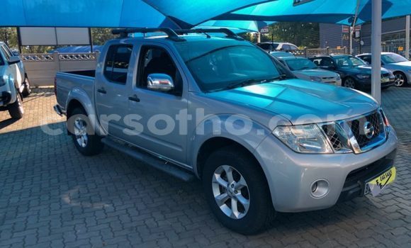 اشتري مستعمل Nissan Navara Silver سيارة في Maputsoa في Leribe اشتري مستعمل Nissan Navara Silver سيارة في Maputsoa في Leribe