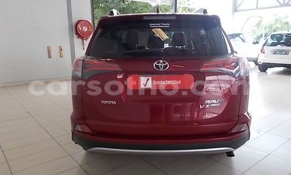 اشتري مستعمل Toyota RAV4 Red سيارة في Maputsoe في Leribe اشتري مستعمل Toyota RAV4 Red سيارة في Maputsoe في Leribe