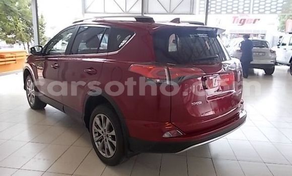 اشتري مستعمل Toyota RAV4 Red سيارة في Maputsoe في Leribe اشتري مستعمل Toyota RAV4 Red سيارة في Maputsoe في Leribe