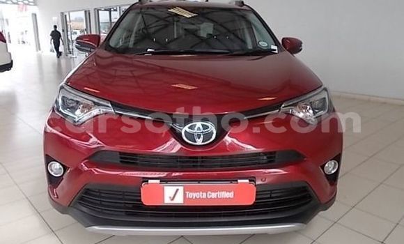 اشتري مستعمل Toyota RAV4 Red سيارة في Maputsoe في Leribe اشتري مستعمل Toyota RAV4 Red سيارة في Maputsoe في Leribe