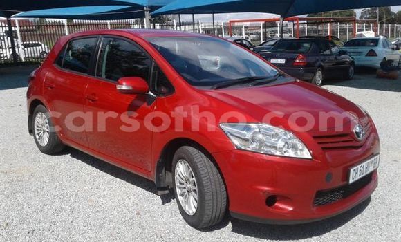 اشتري مستعمل Toyota Auris Red سيارة في Maputsoa في Leribe اشتري مستعمل Toyota Auris Red سيارة في Maputsoa في Leribe