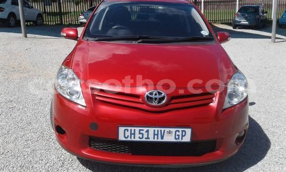 اشتري مستعمل Toyota Auris Red سيارة في Maputsoa في Leribe اشتري مستعمل Toyota Auris Red سيارة في Maputsoa في Leribe