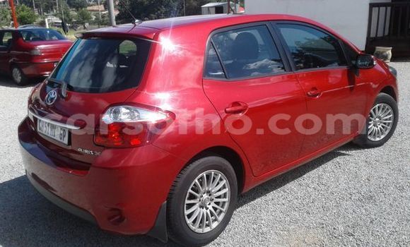 اشتري مستعمل Toyota Auris Red سيارة في Maputsoa في Leribe اشتري مستعمل Toyota Auris Red سيارة في Maputsoa في Leribe