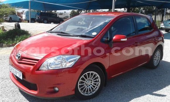 اشتري مستعمل Toyota Auris Red سيارة في Maputsoa في Leribe اشتري مستعمل Toyota Auris Red سيارة في Maputsoa في Leribe