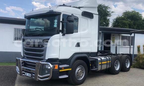 اشتري مستعمل Scania Irizar Green شاحنة في Maputsoa في Leribe