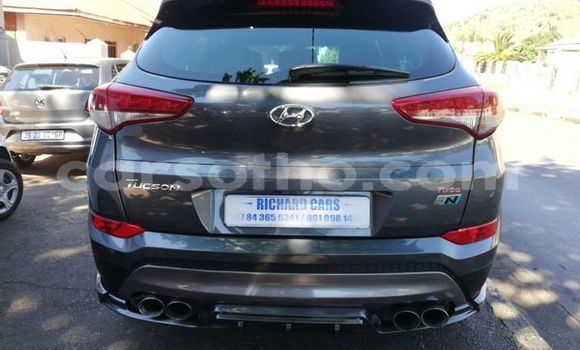 Buy Used Hyundai Tucson Silver Car in Maputsoa in Leribe Buy Used Hyundai Tucson Silver Car in Maputsoa in Leribe